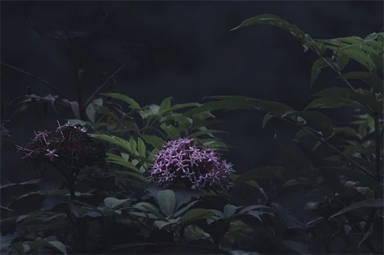 什么的自述(精选4篇)