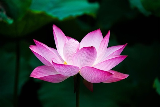 端午节朋友祝福短信82句