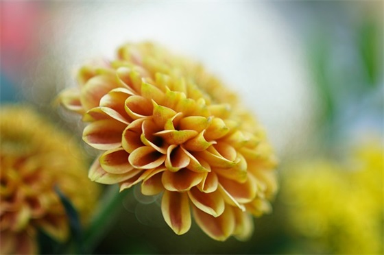祝五一节快乐短信80句