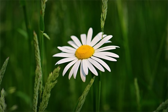 中秋节最搞笑短信83句