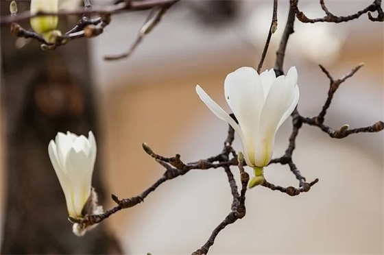 端午节短信祝贺词81句