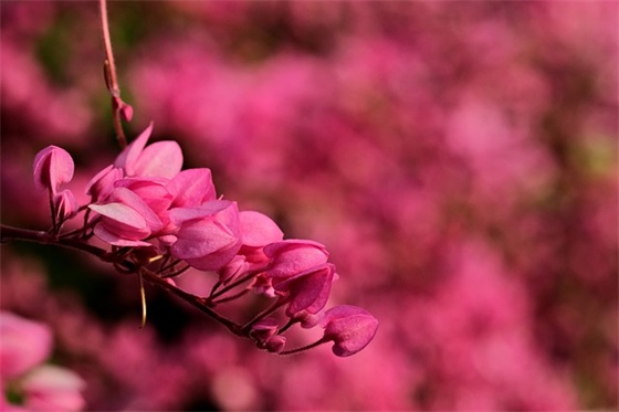 中秋节发给客户短信82句