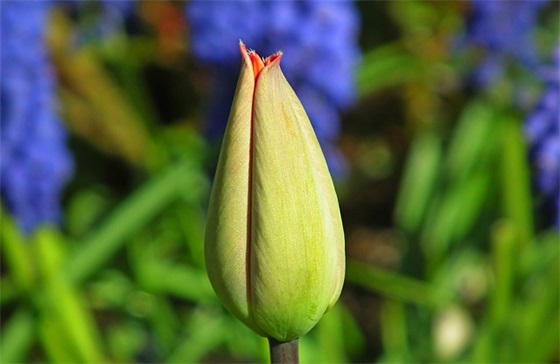 中秋节祝福短信性80句