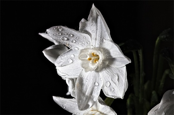 春节短信84句 春节短信84句