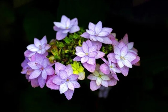 中秋节给领导发短信82句