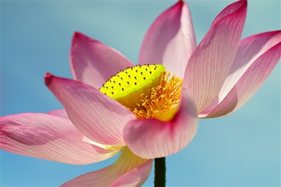 七夕节甜蜜短信82句