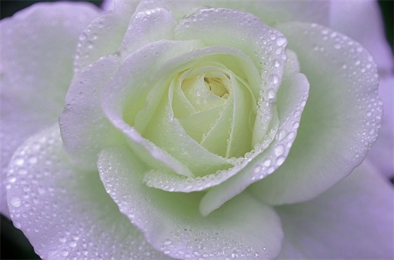 给朋友结婚祝福短信84句 给朋友结婚祝福短信84句