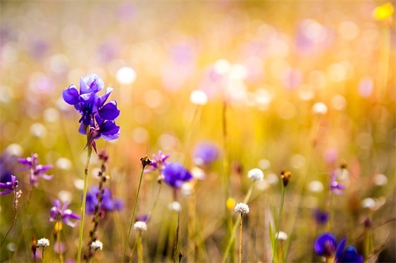 端午节给老师的短信81句