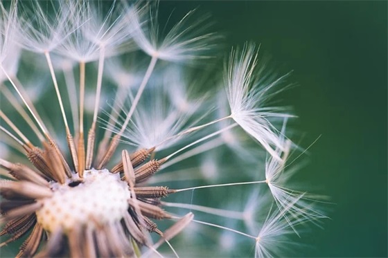 教师给二年级家长的寄语 【二年级家长给老师的留言】 教师给二年级家长的寄语 【二年级家长给老师的留言】