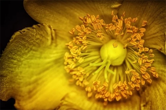 写给孩子的新学期寄语 【写给孩子的新学期寄语大全】 写给孩子的新学期寄语 【写给孩子的新学期寄语大全】