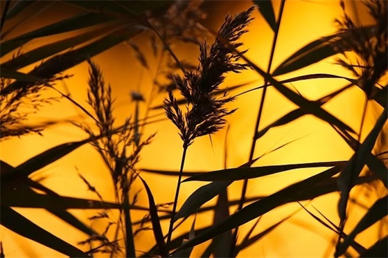 网名简单个性签名
