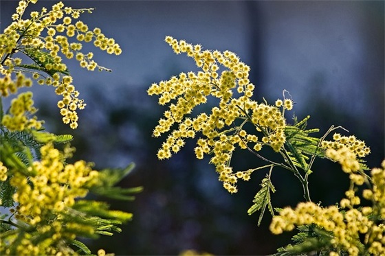 中秋节送老师短信58句