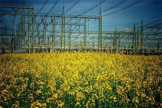 2025年中秋贺卡祝福语56句