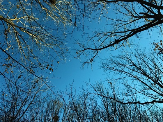 2025年合作伙伴新年祝福语54句