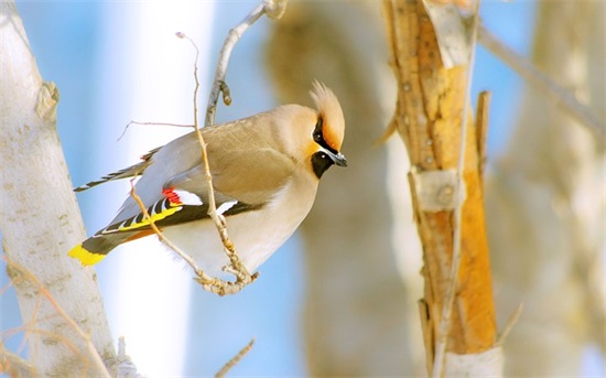 经典的国庆节祝福语 酒店国庆节祝福语