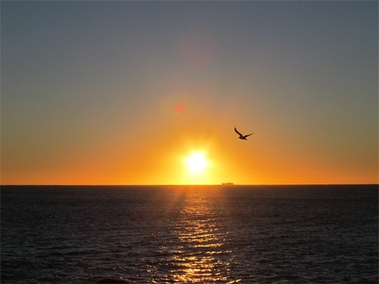 董事长的生日祝福语57句