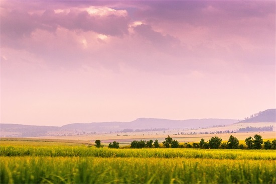 公司拜年简单祝福语 公司拜年祝福语
