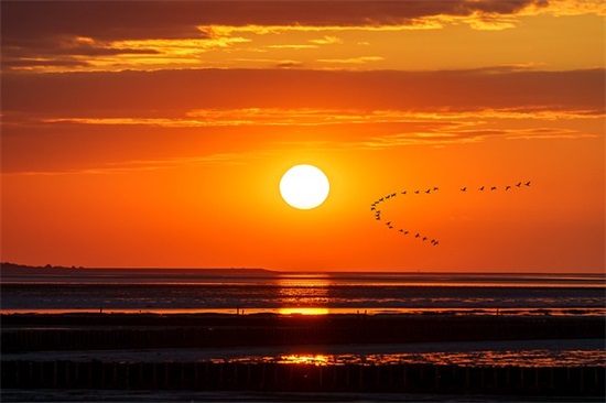 2025年恭喜别人结婚纪念日的祝福语