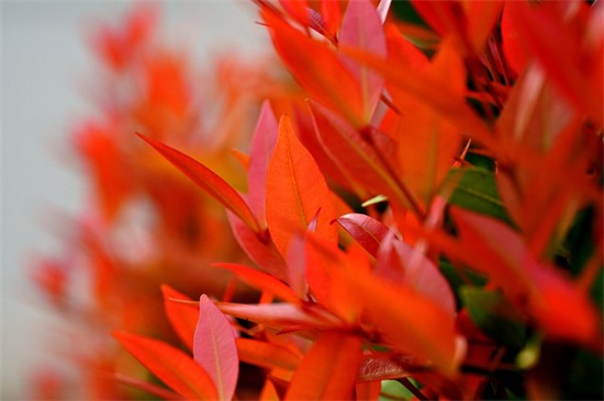 对女性生日祝福语58句