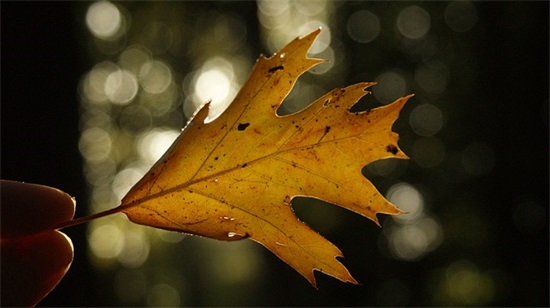 男人30岁简单祝福语69句