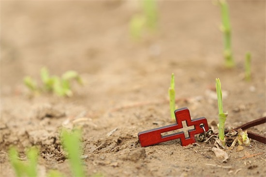 父亲50大寿祝福语56句