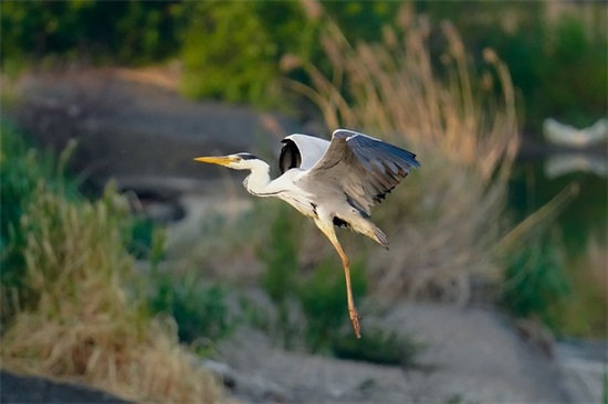 感谢文案(感恩感谢祝福的文案)