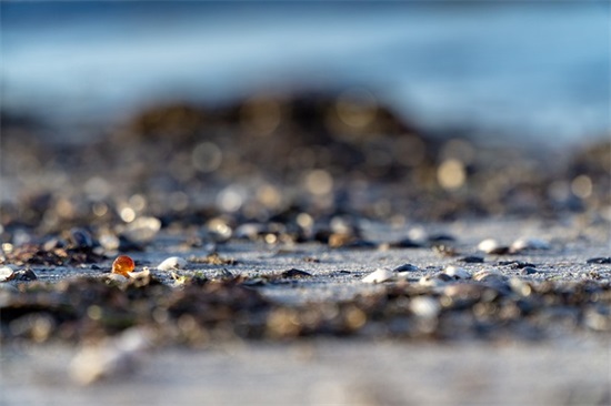 姐夫生日祝福语大全58句