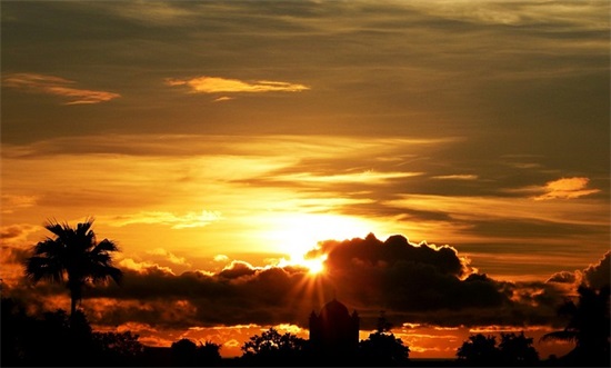 姥姥的语录49句