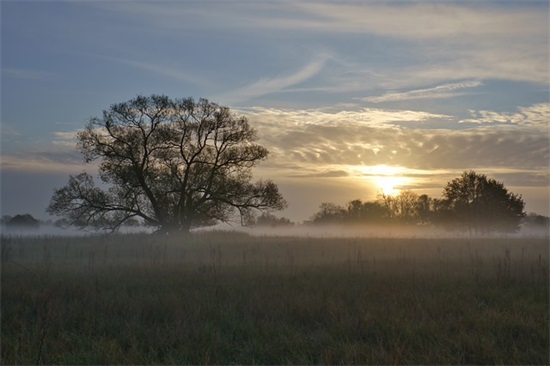 抖音伤感语录俗人句子