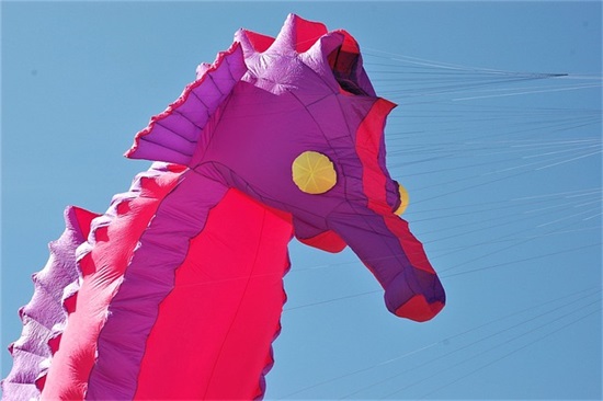 2025年精选成功学语录大全 最火语录