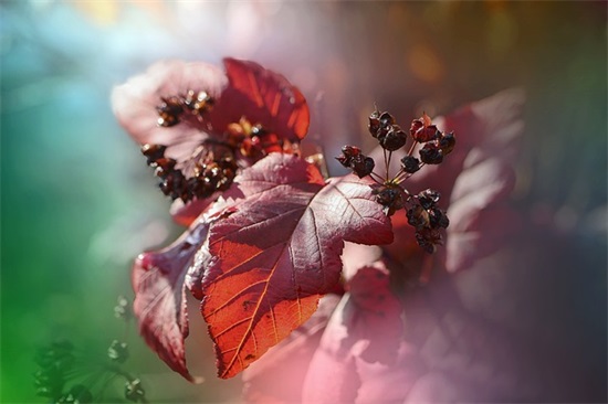 正能量早安自主创业励志语录带文字的句子创意文案