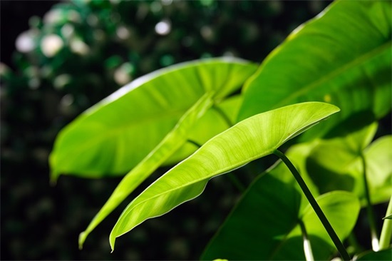 钱小样经典搞笑语录