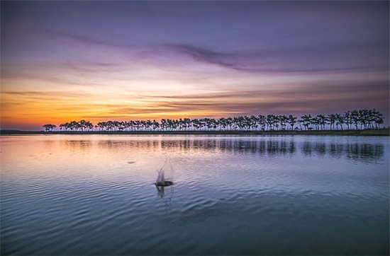 2025年最流行的情感语录