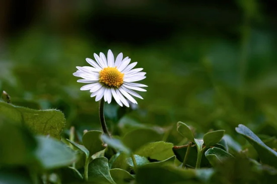 伤感qq签名语录87句