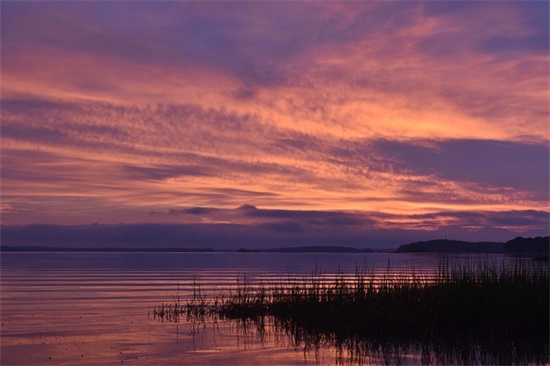 特别经典的心灵鸡汤励志语录(励志向上的心灵鸡汤)