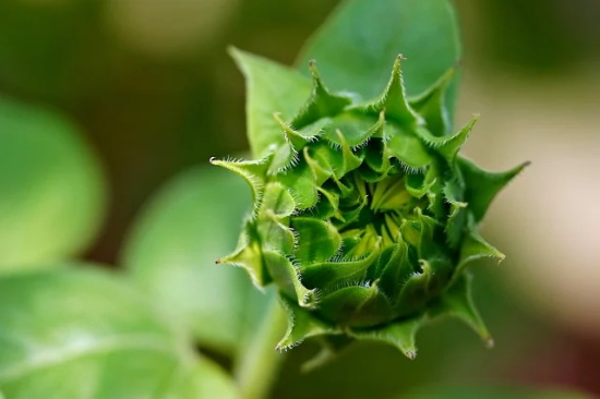 百年孤独经典语录 百年孤独最经典话 百年孤独经典语录 百年孤独最经典话