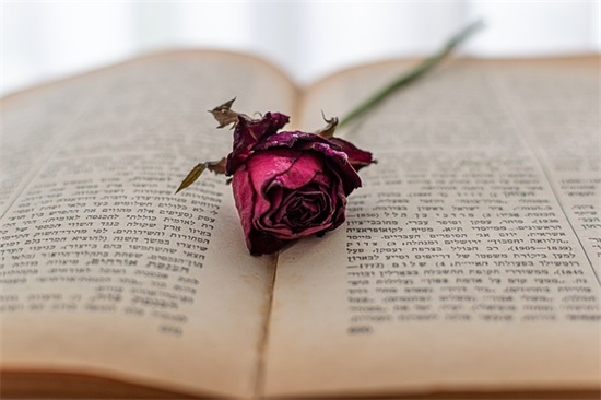 非常伤感的话感情语录