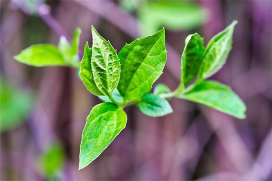 感叹生日又老一岁的话 生日大一岁的感慨语录