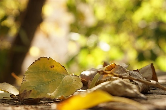 激励自己勤学上进的励志格言语录