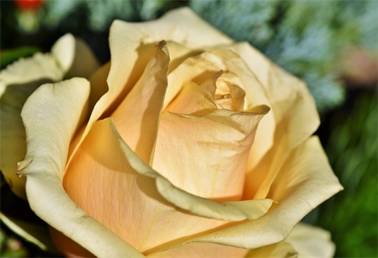 新课标英语教学案例范例6篇