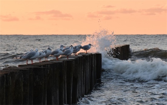 历史教学论文范例6篇