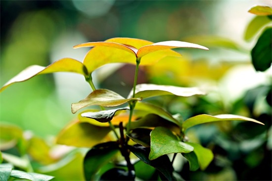 安全环保论文范例6篇