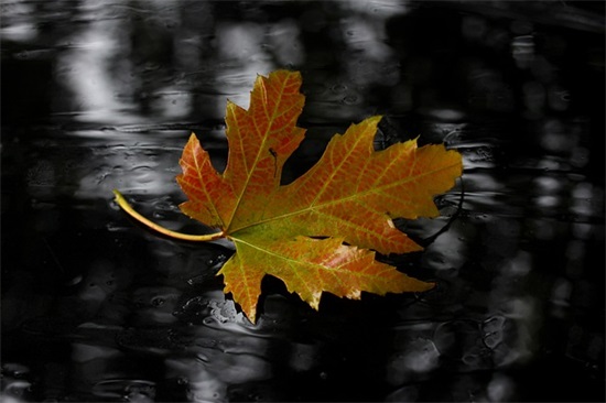 没有你我怎么办范例6篇