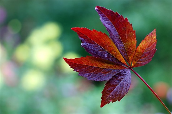 正风肃纪剖析范例6篇