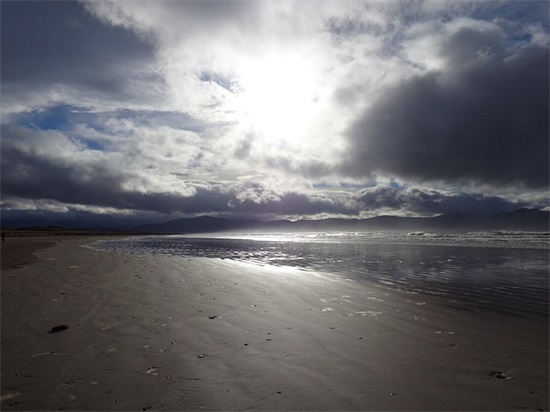 中国工会章程范例6篇