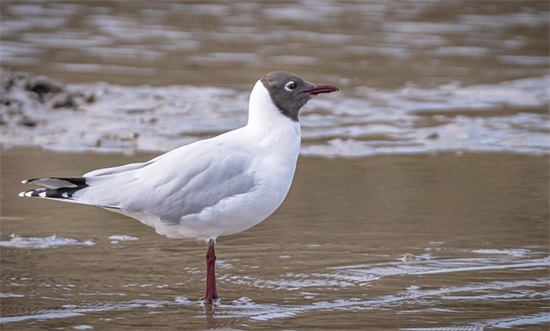 法院立案庭实习报告范例6篇