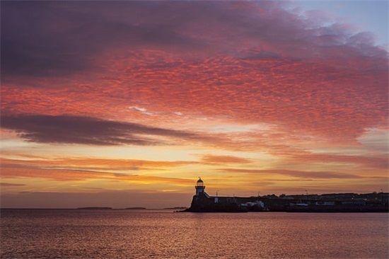 月亮爬上来范例6篇