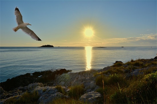 关于描写竹子的句子段落