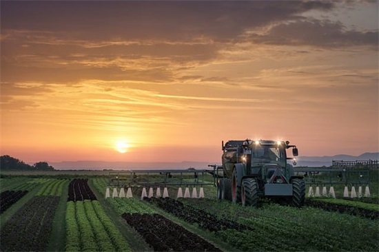 qq网名可爱的女生