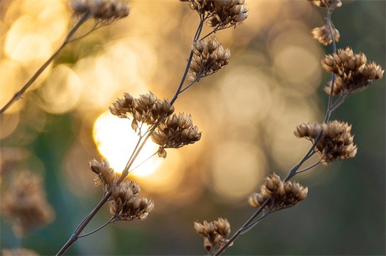 女生网名甜蜜美味可爱